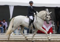 SF AUDITOR, DE Y. SAN NICOLAS, MONTADO POR CATALINO GONZALEZ. SECCION SEMENTALES 5 Y 6 A